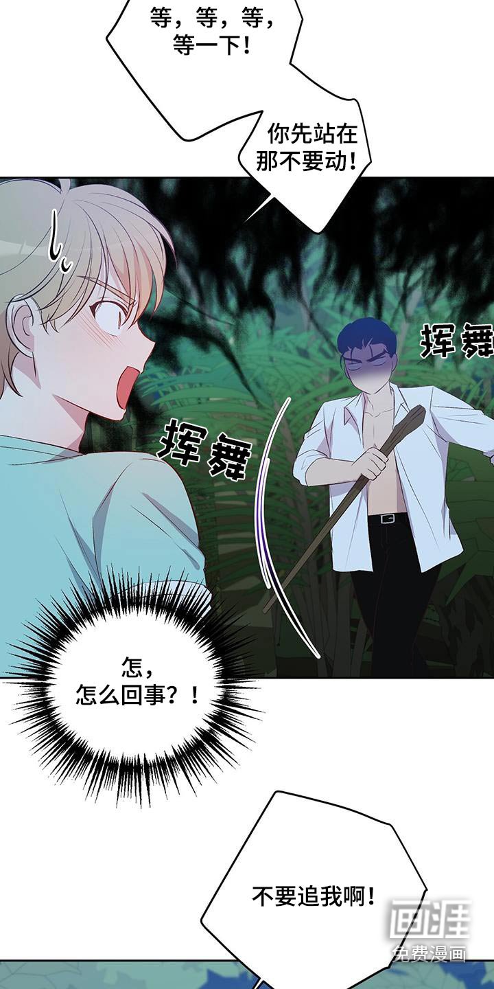 第33章：椰子蟹