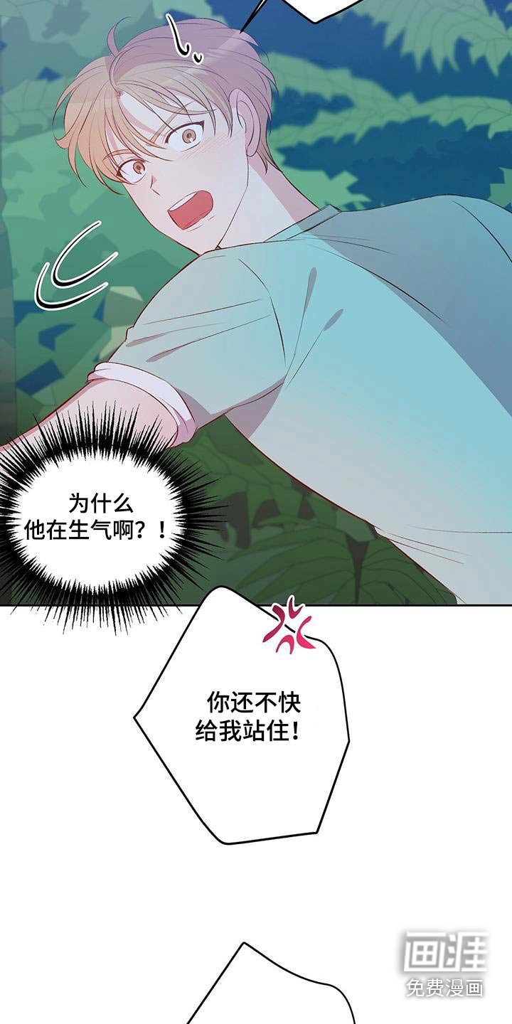 第33章：椰子蟹
