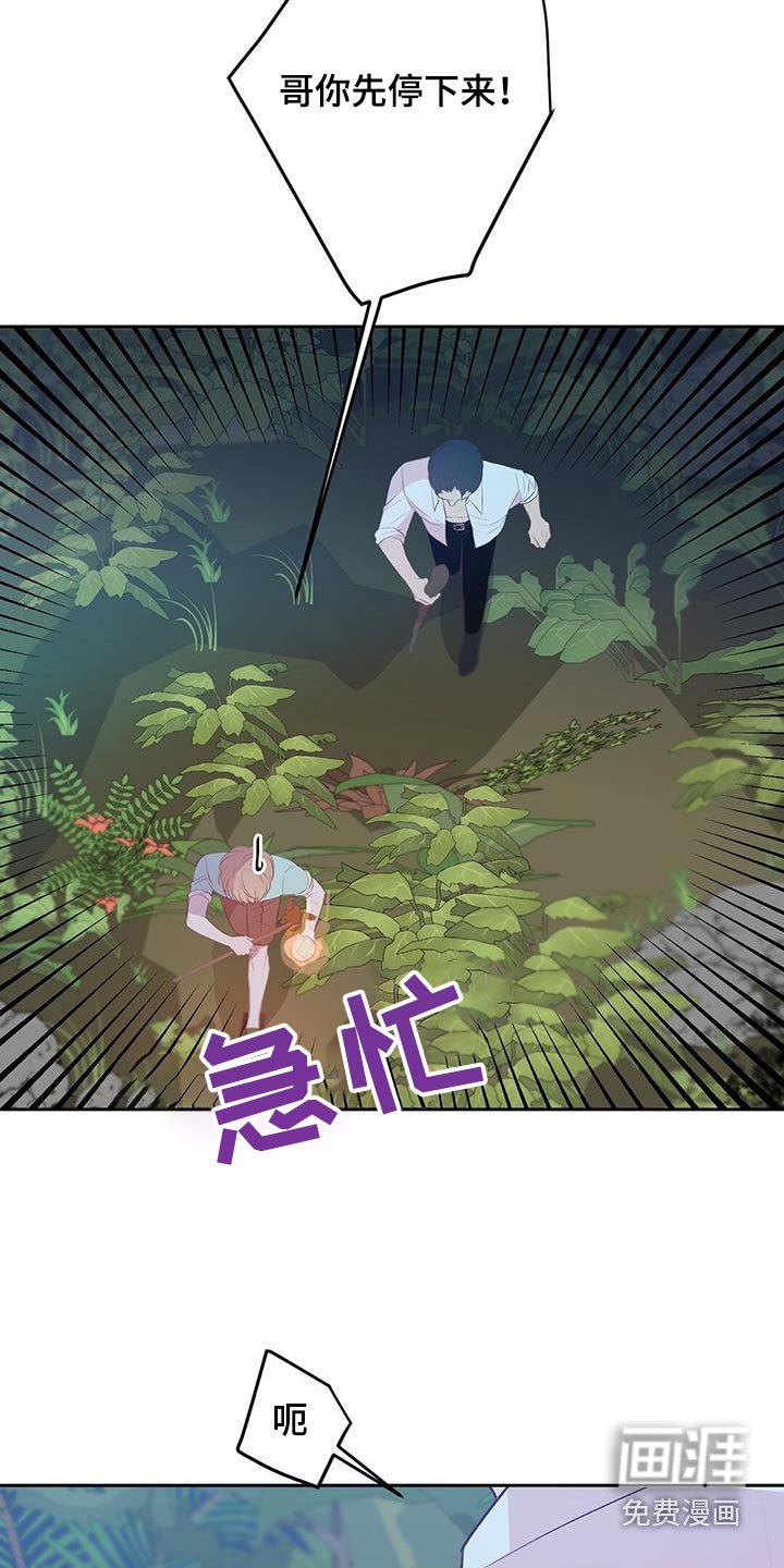 第33章：椰子蟹