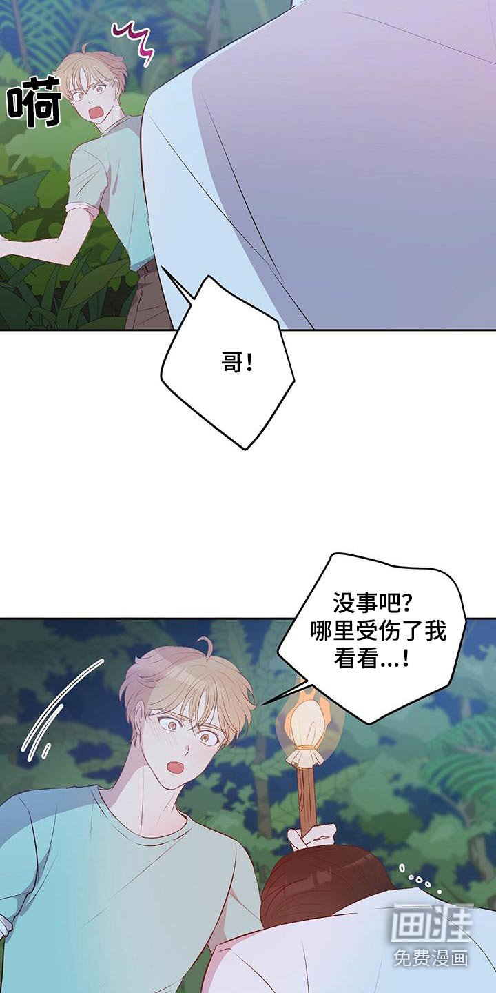 第33章：椰子蟹