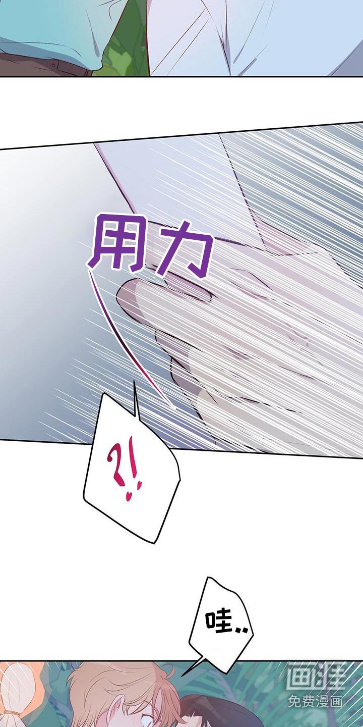 第33章：椰子蟹