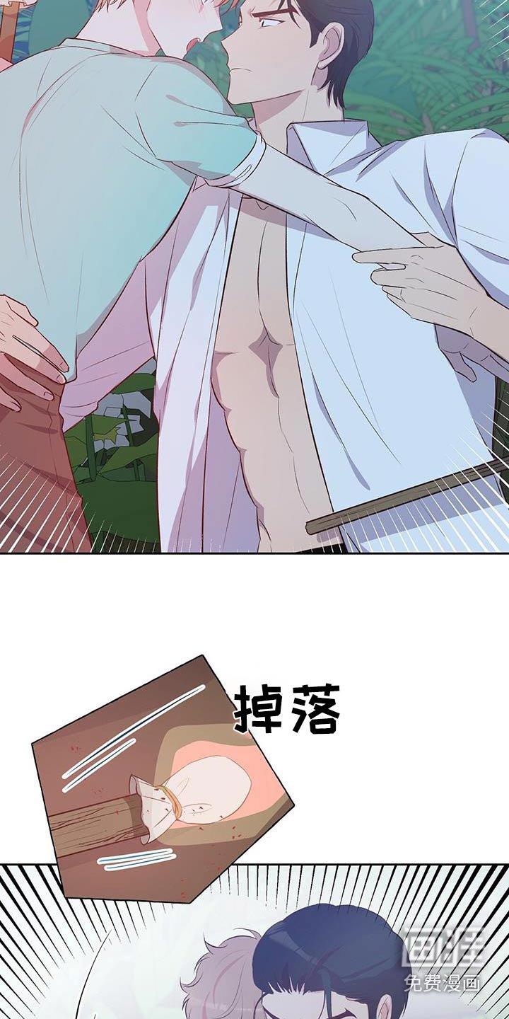 第33章：椰子蟹