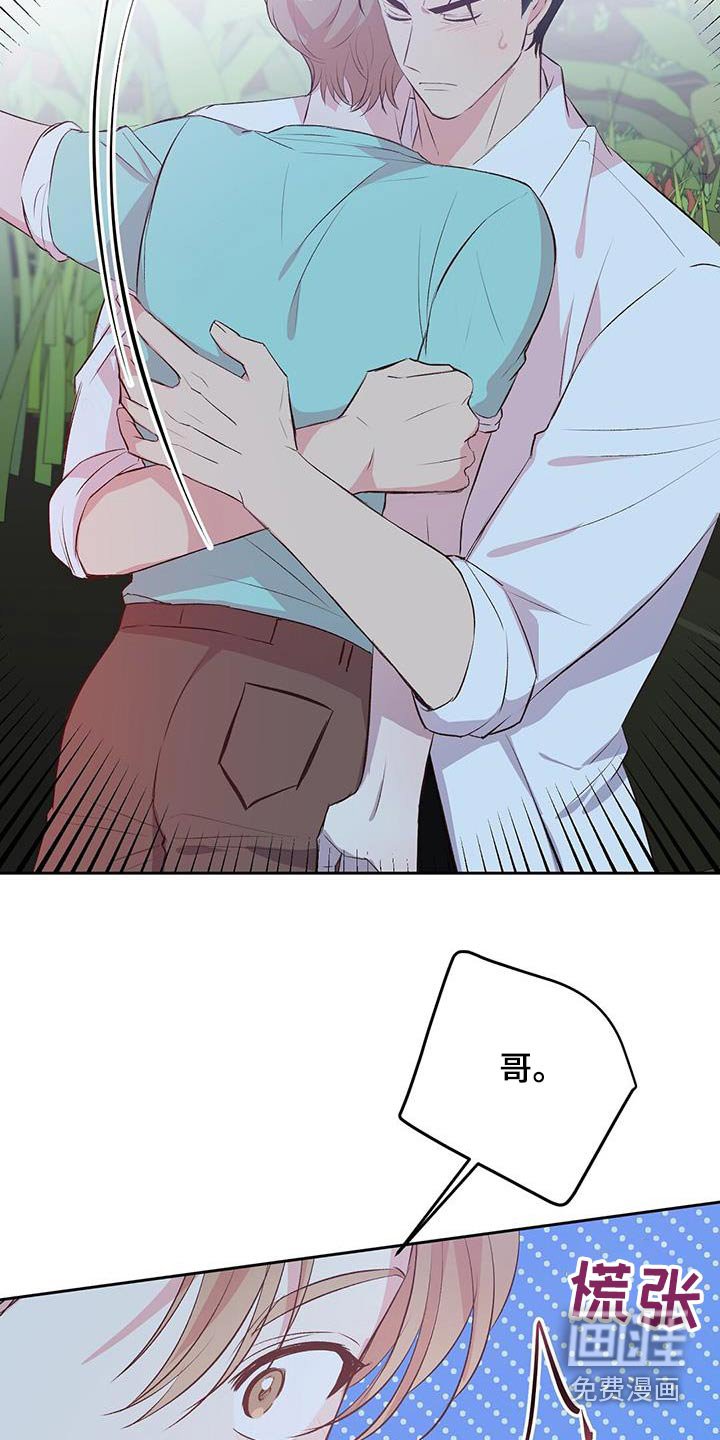 第33章：椰子蟹