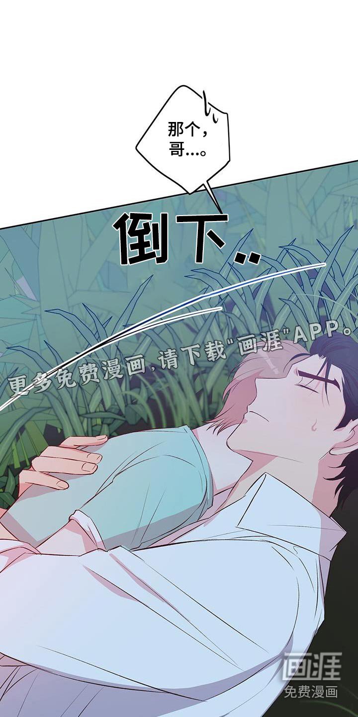 第34章：一周