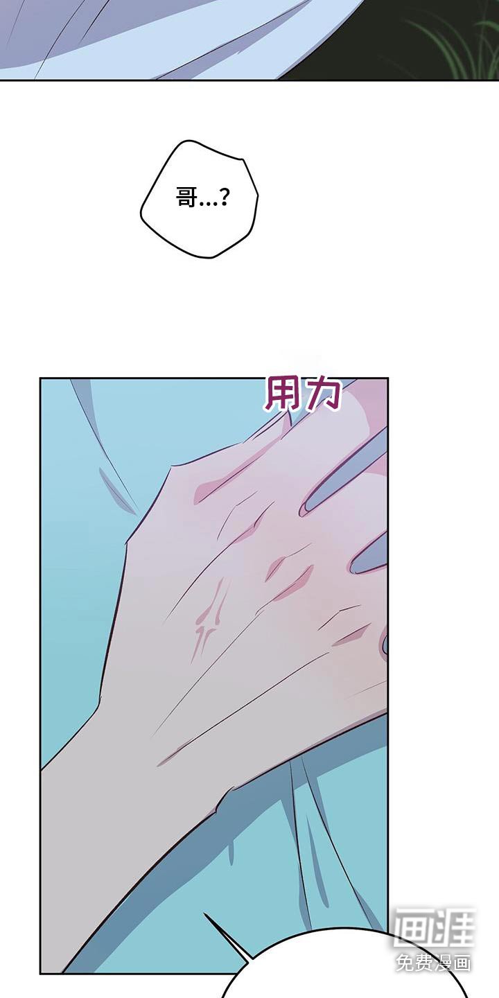 第34章：一周