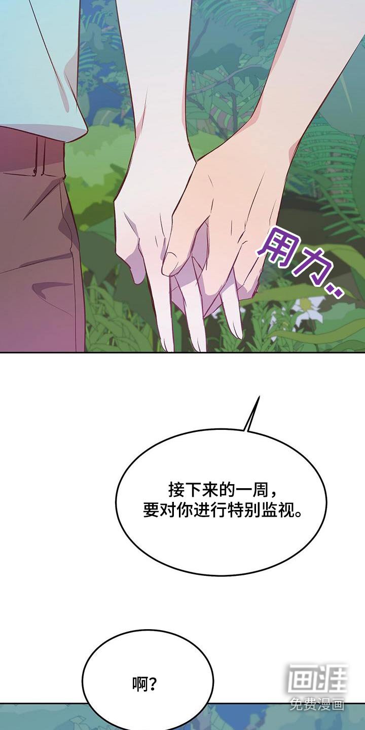 第34章：一周