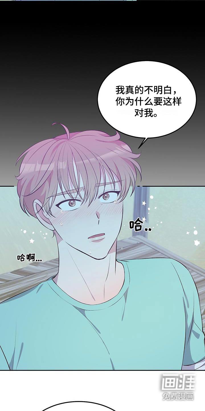第37章：不是说这个