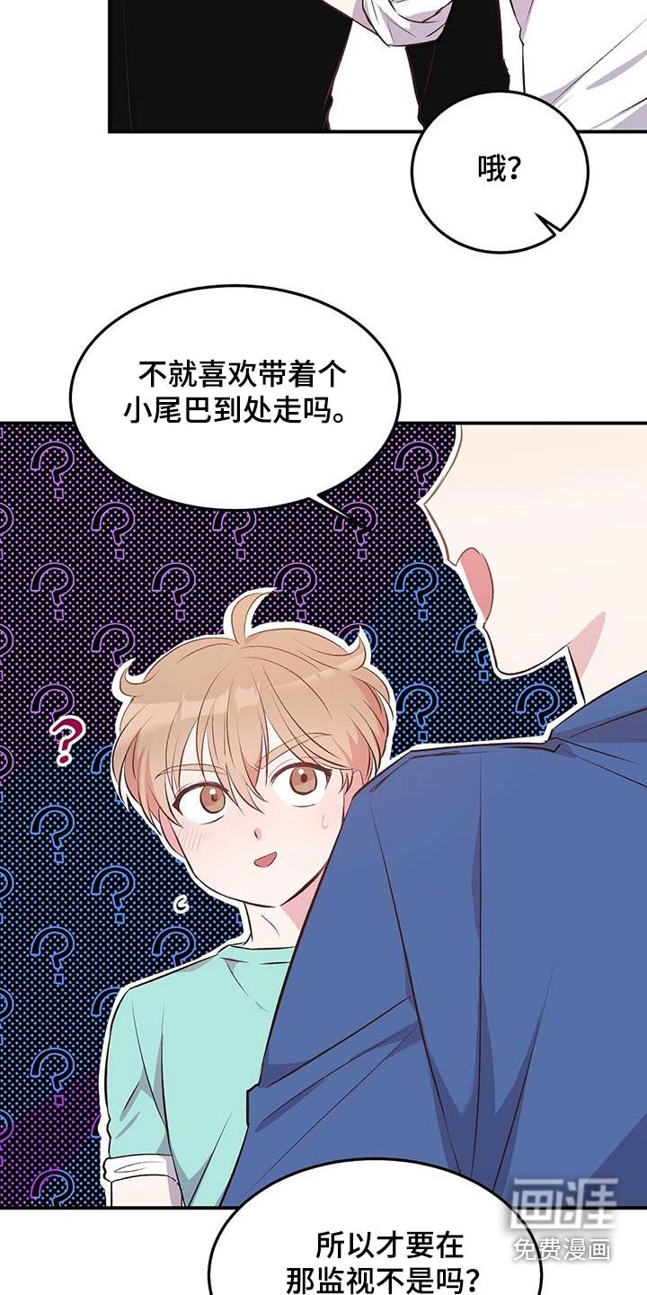 第43章：是我扔的