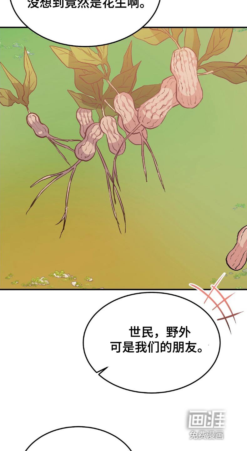 第48章：花生