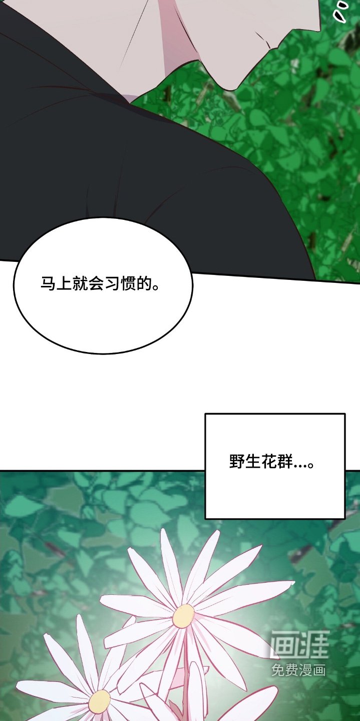 第62章：偷袭