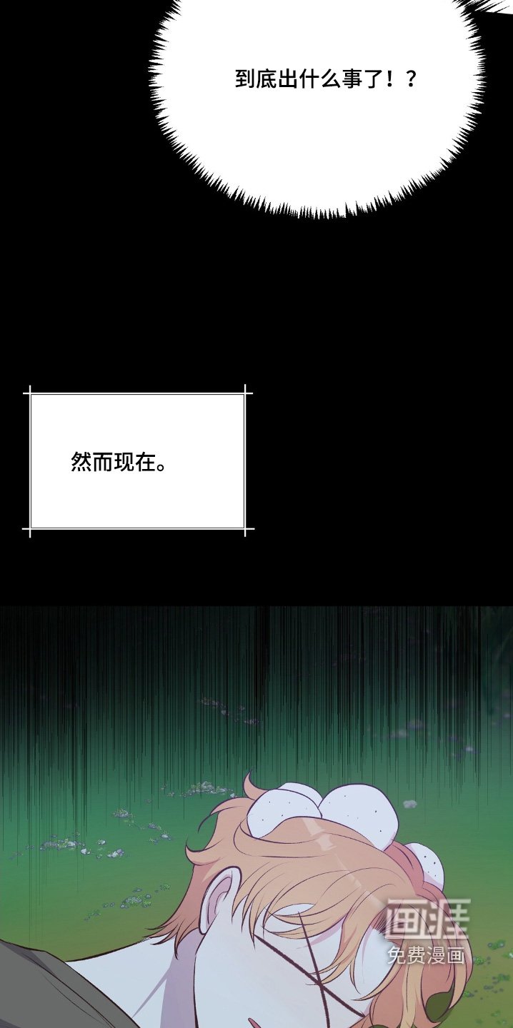 第64章：他要杀我