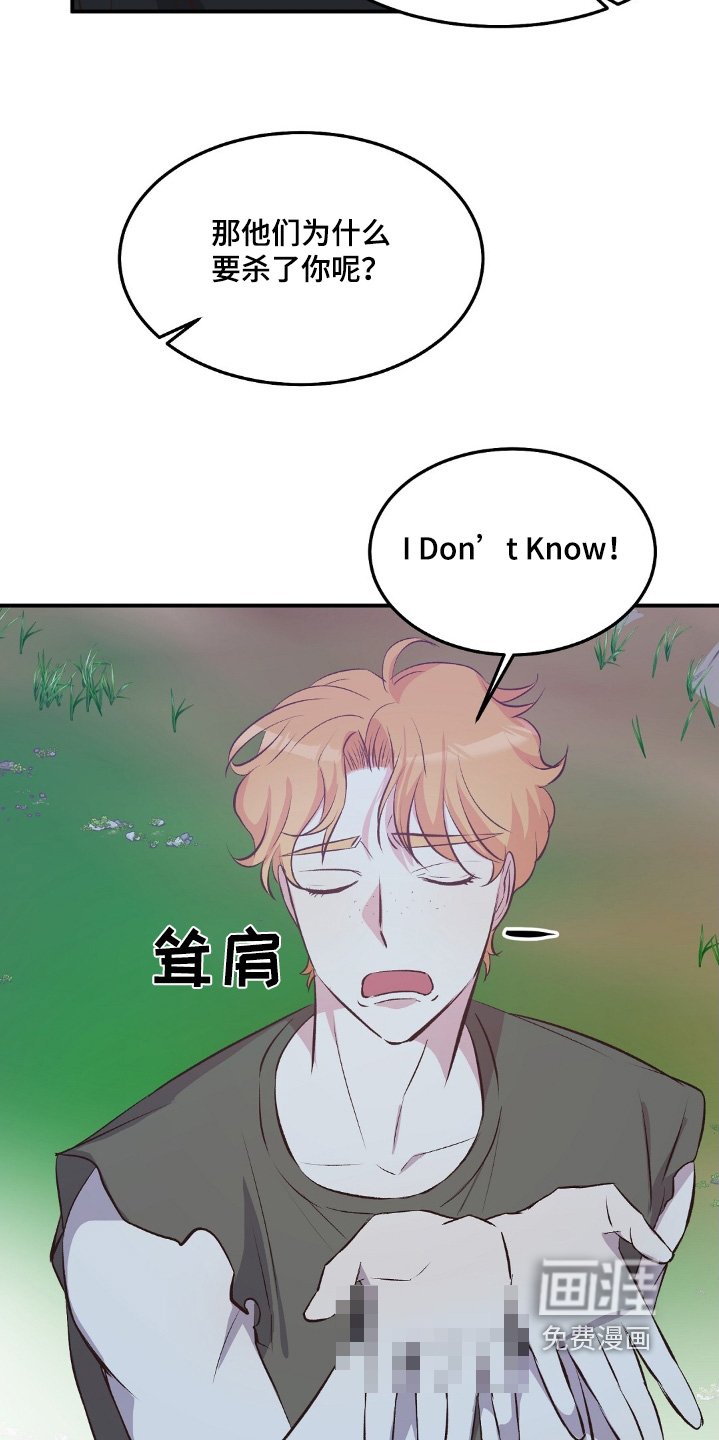 第66章：不知道相信谁