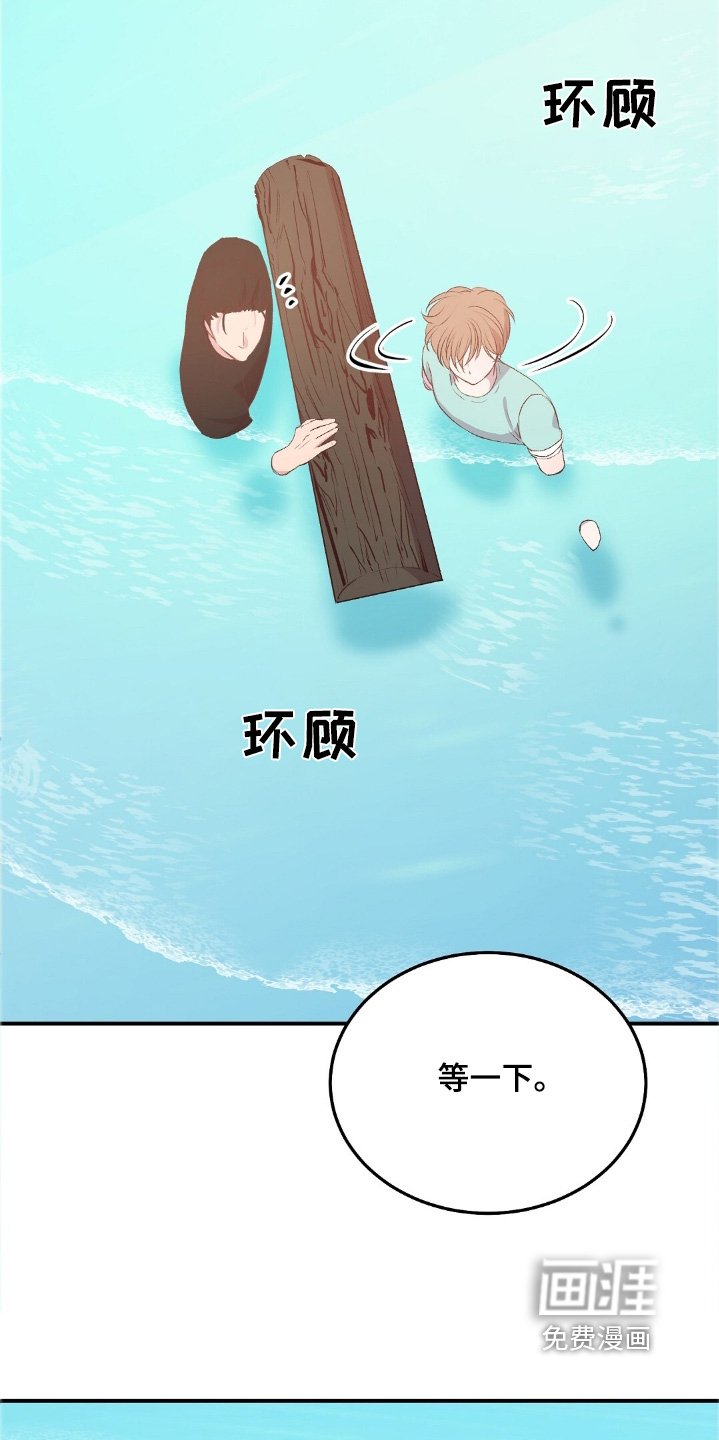 第73章：鲸鱼