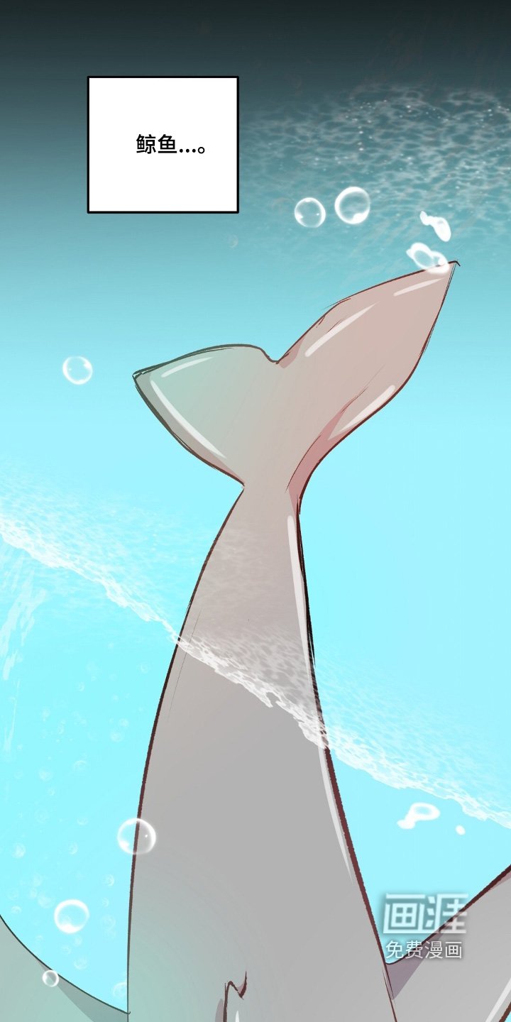 第73章：鲸鱼