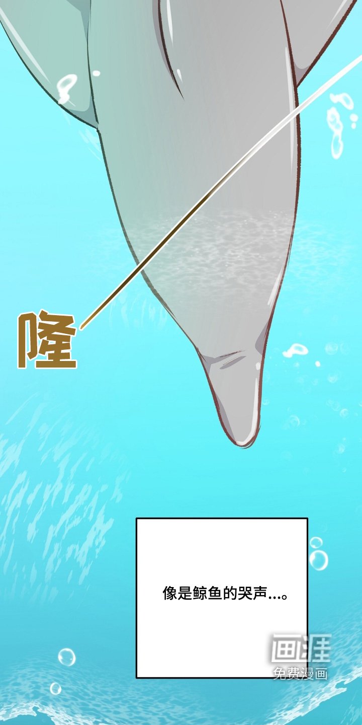 第73章：鲸鱼