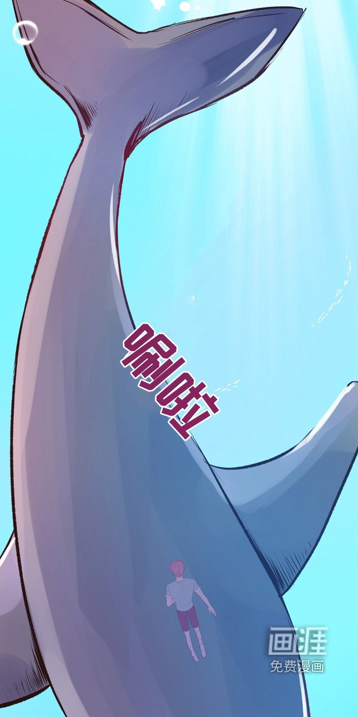 第73章：鲸鱼