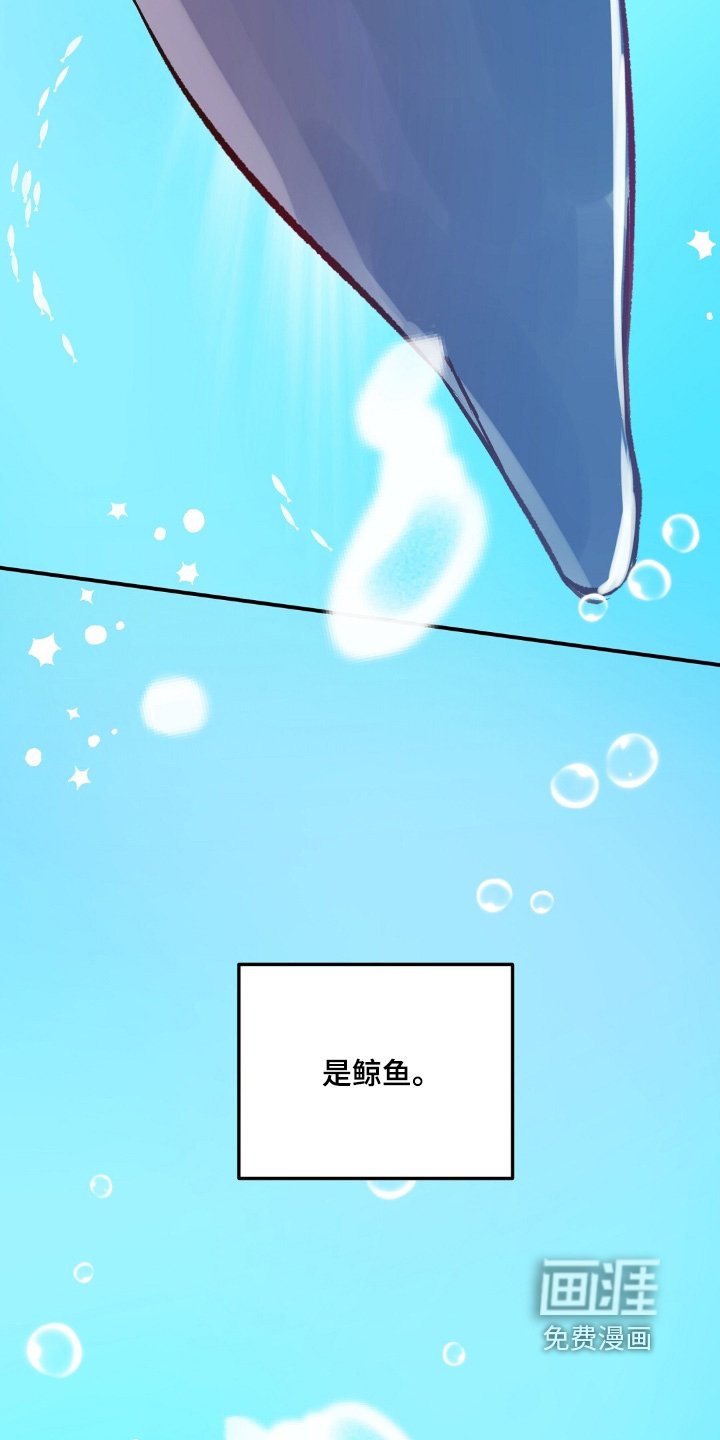 第73章：鲸鱼
