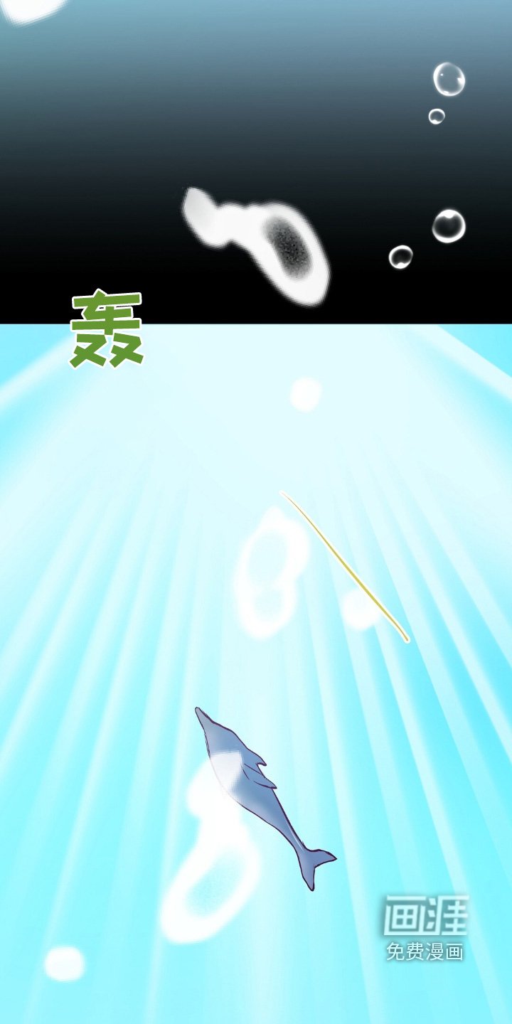 第73章：鲸鱼