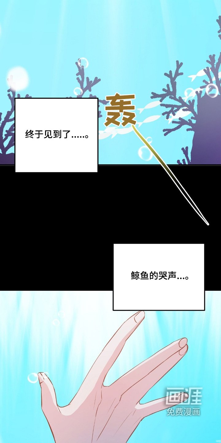 第73章：鲸鱼