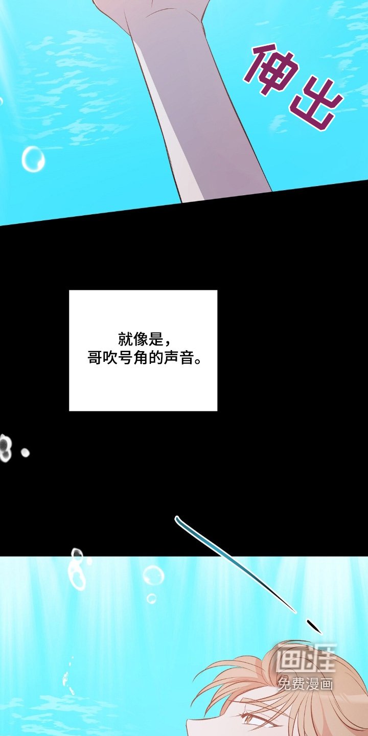 第73章：鲸鱼