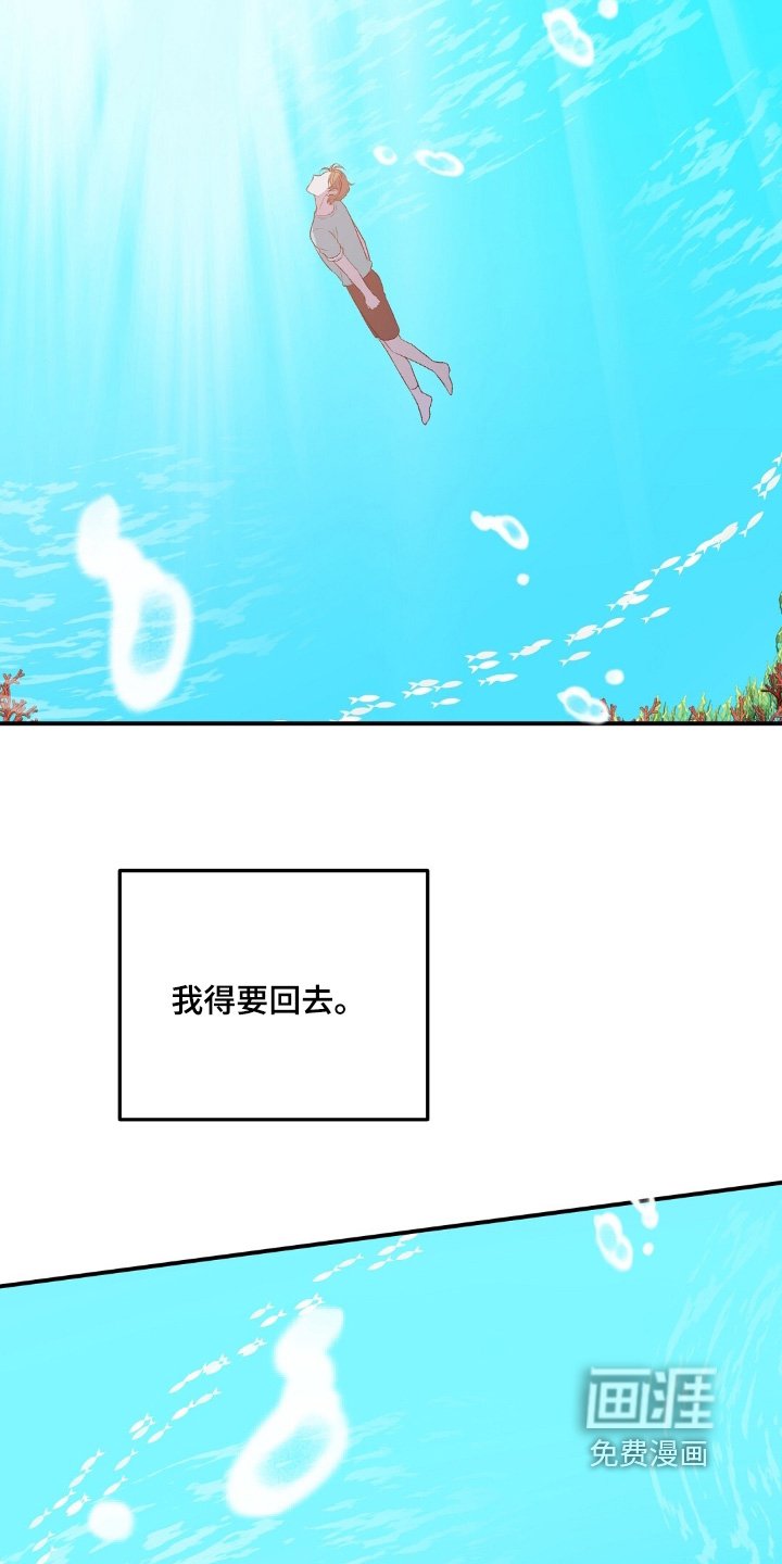 第73章：鲸鱼