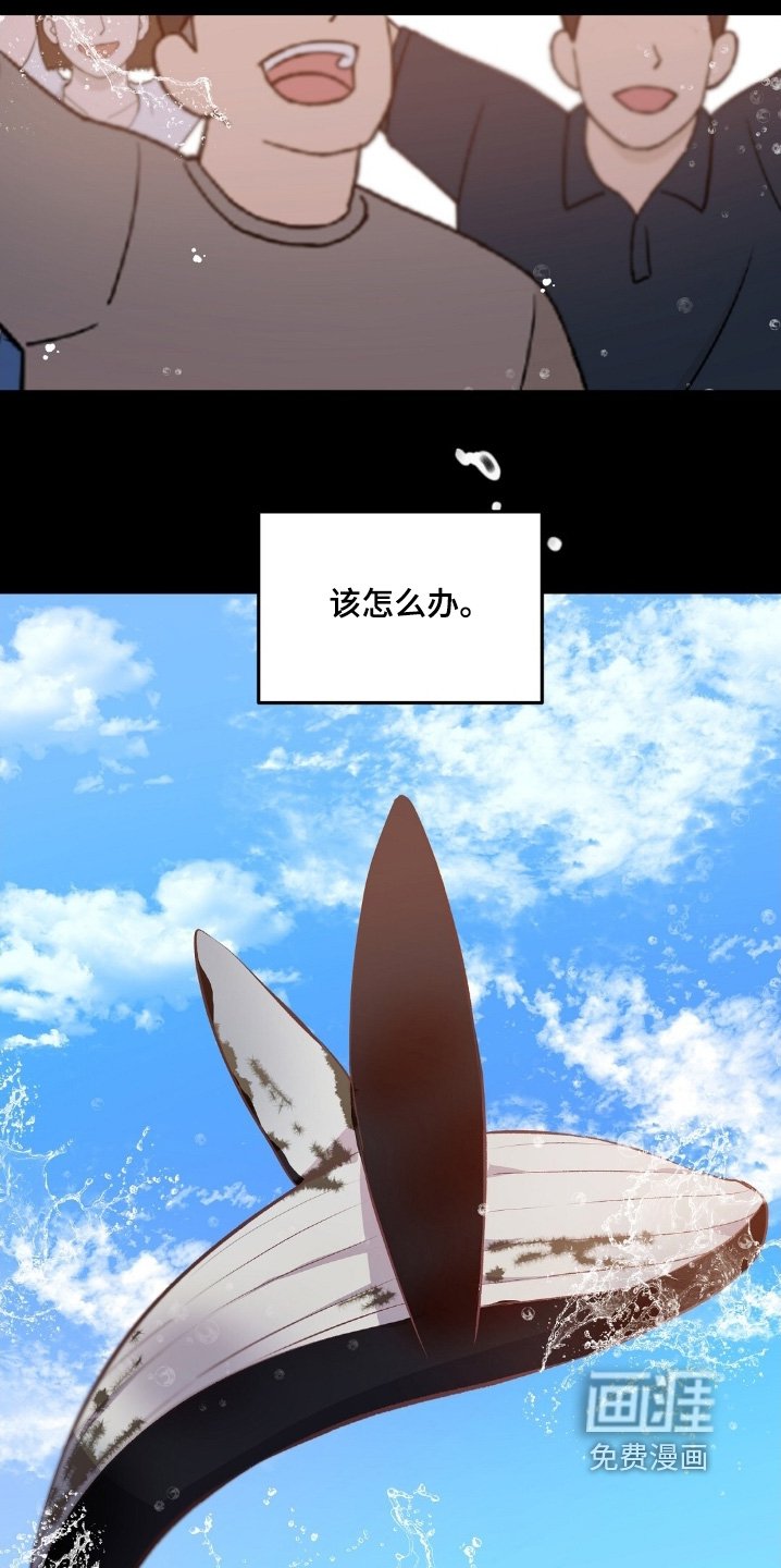 第97章：不可以