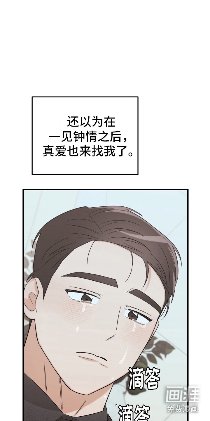 第12章：期待