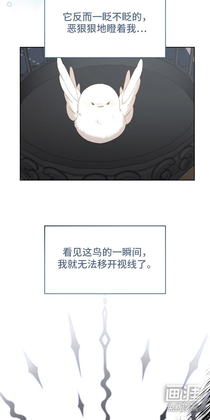 第10章：感兴趣