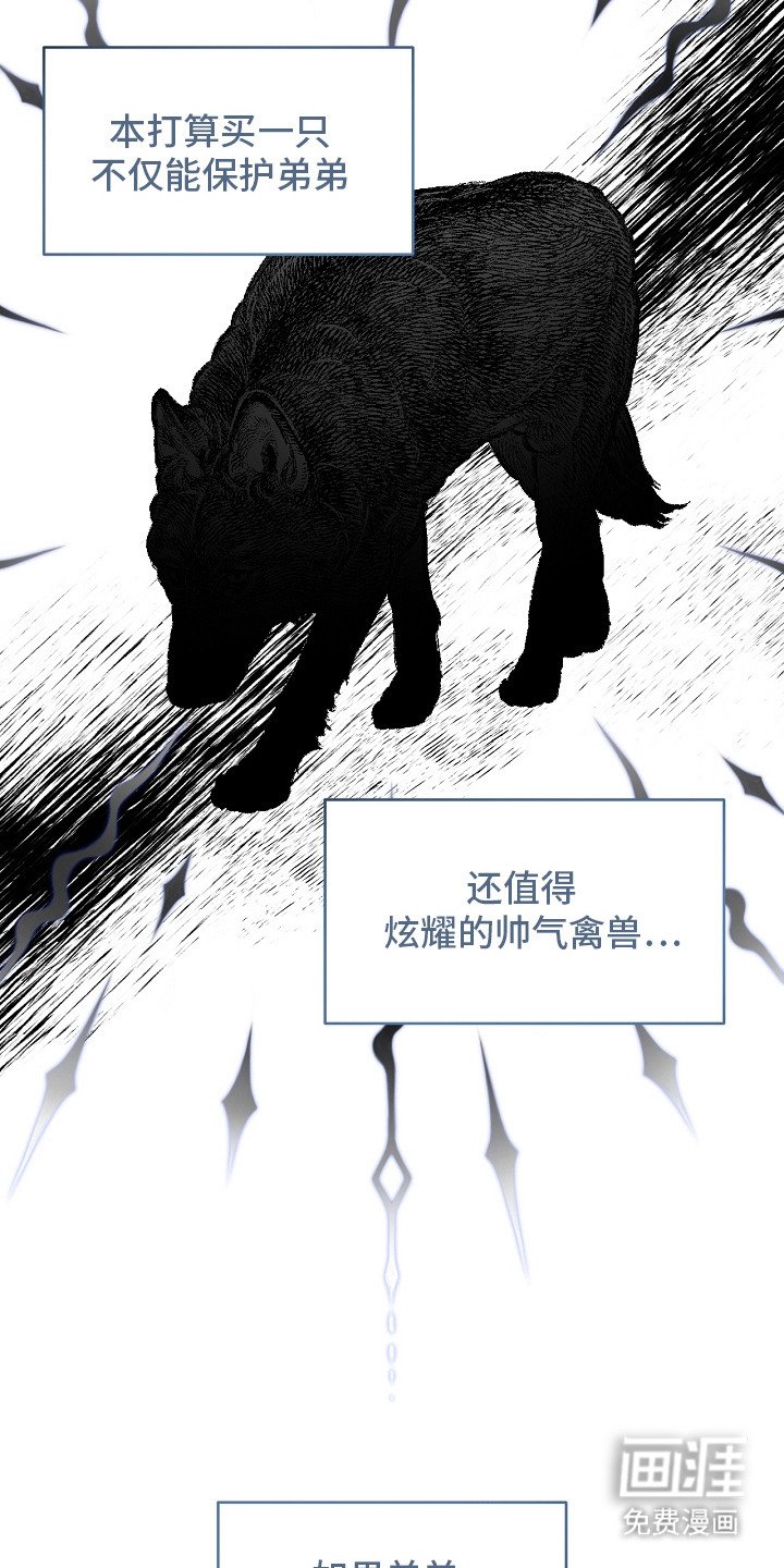 第10章：感兴趣
