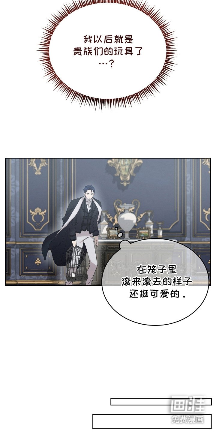 第10章：感兴趣
