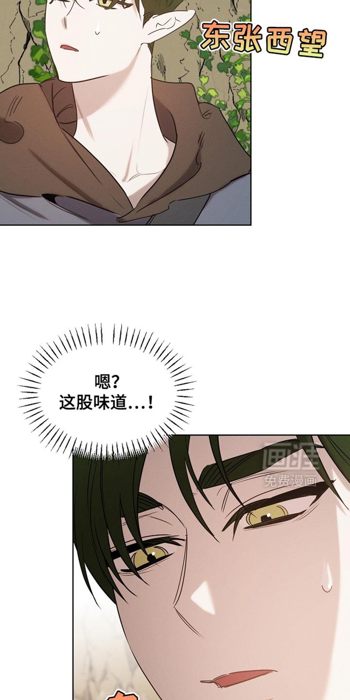 第104章：【第二季】在变一次鸟儿吗？
