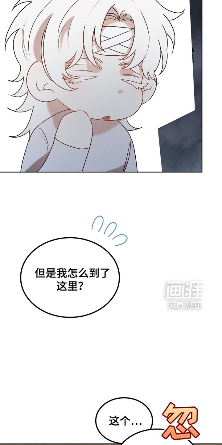 第104章：【第二季】在变一次鸟儿吗？