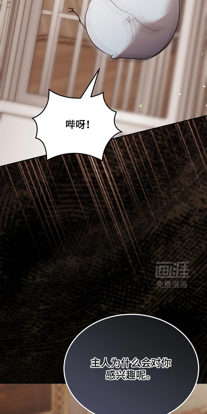 第108章：【第二季】被绑架了！