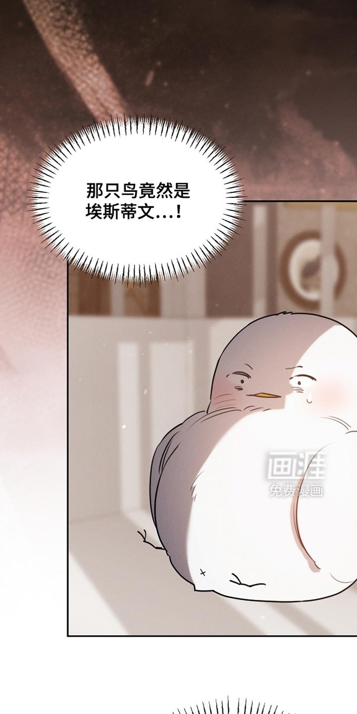 第108章：【第二季】被绑架了！