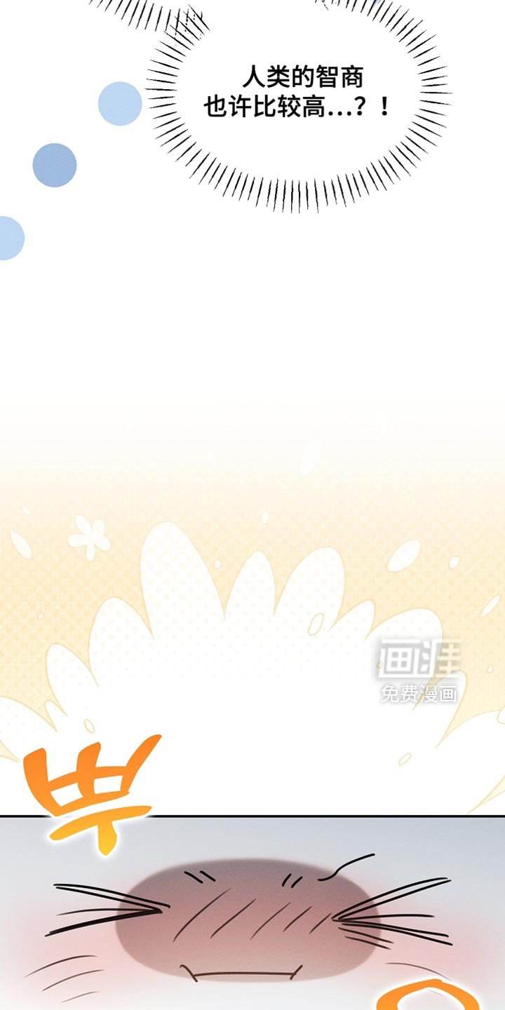 第108章：【第二季】被绑架了！