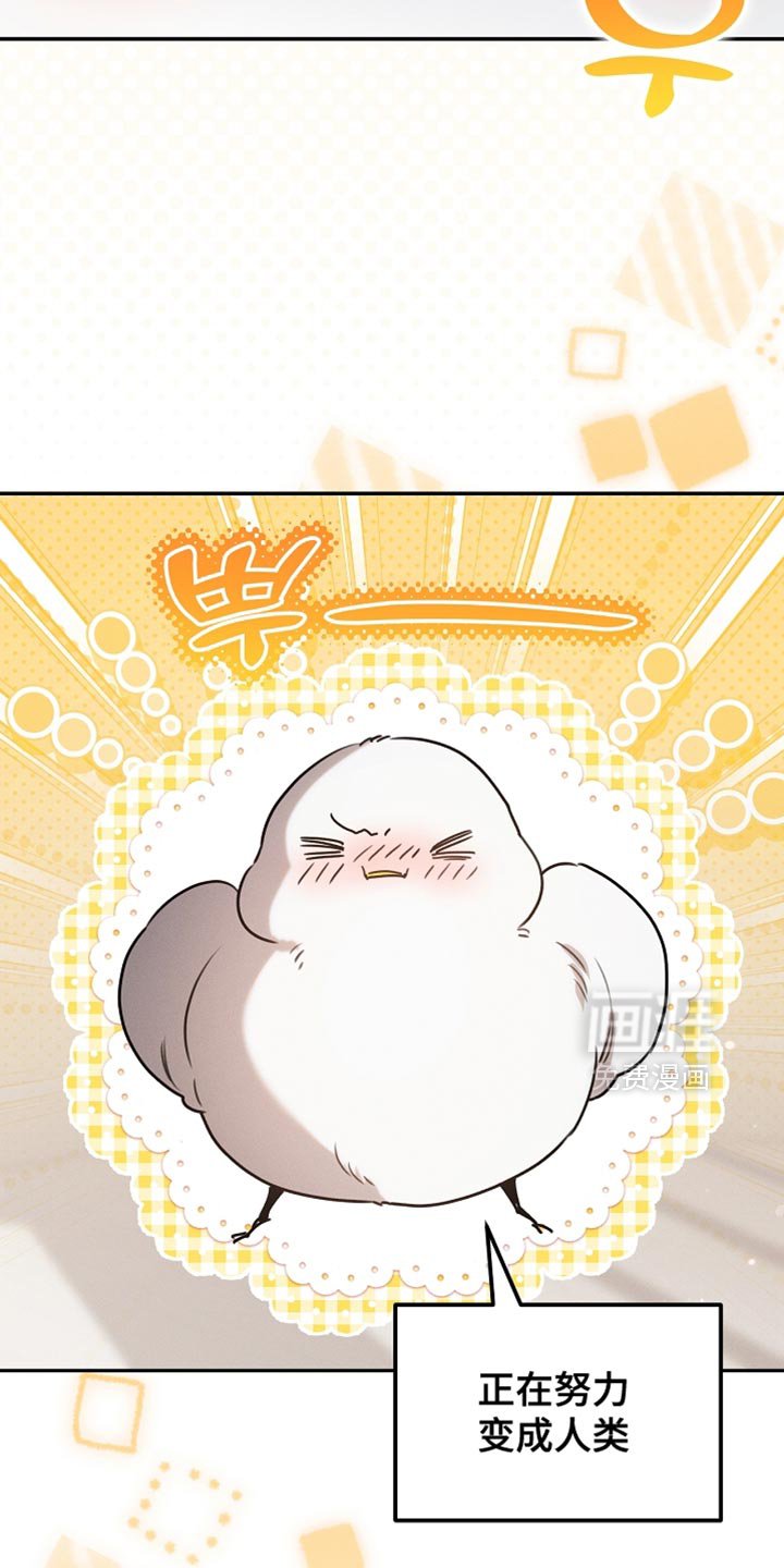 第108章：【第二季】被绑架了！