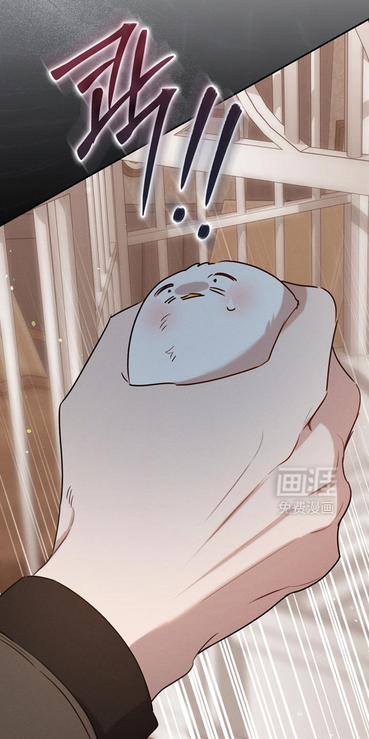 第108章：【第二季】被绑架了！