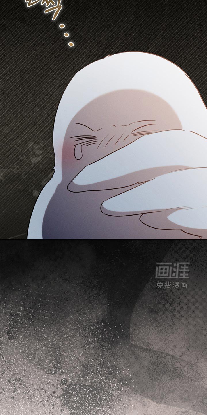 第108章：【第二季】被绑架了！