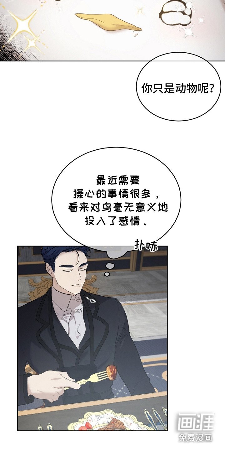第11章：食物