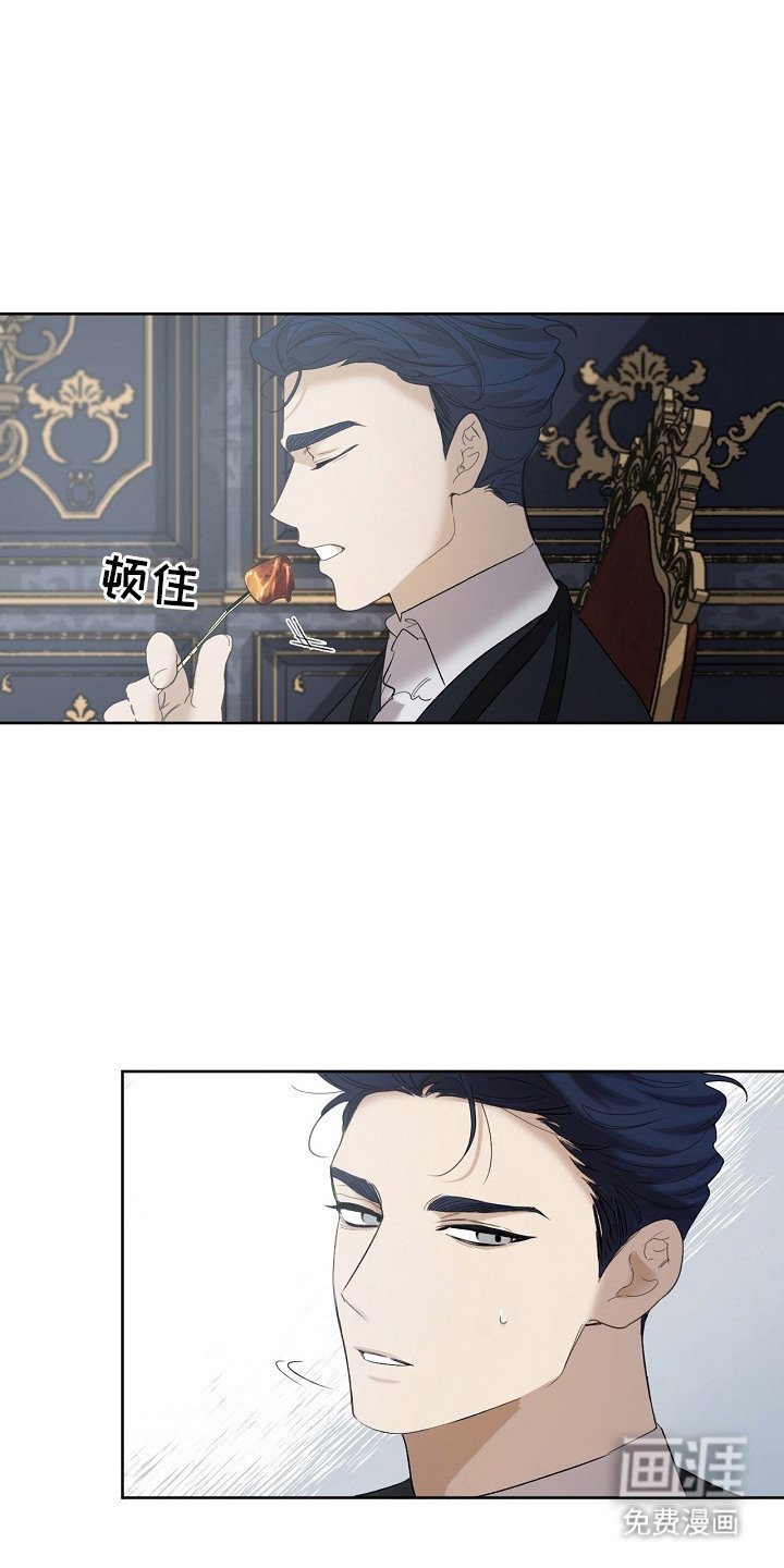 第11章：食物