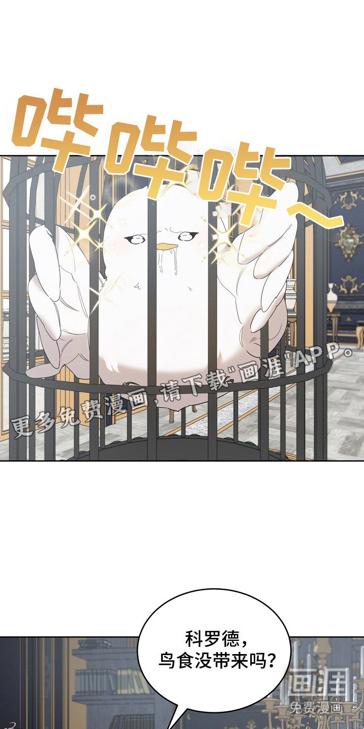 第11章：食物