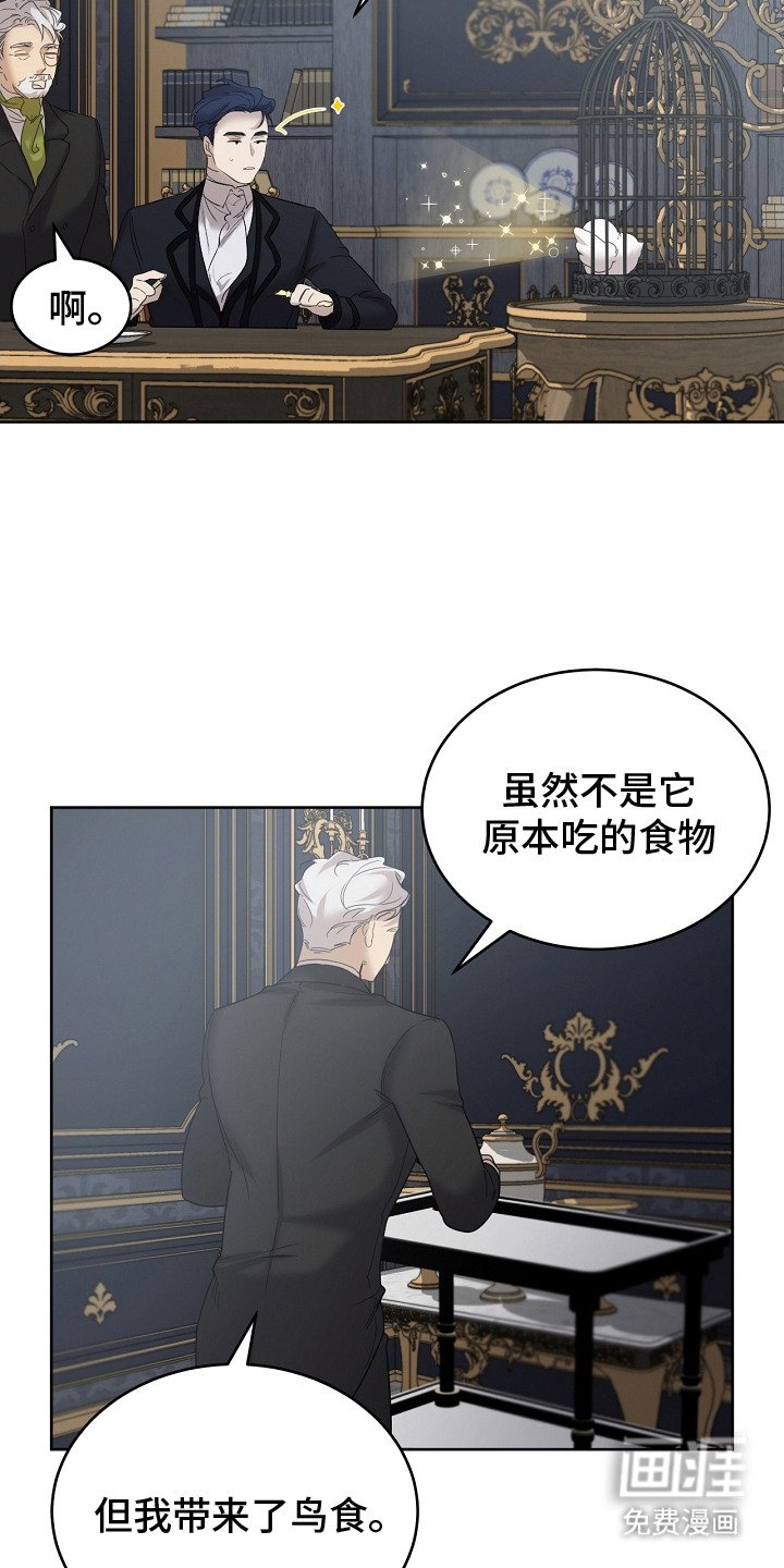 第11章：食物