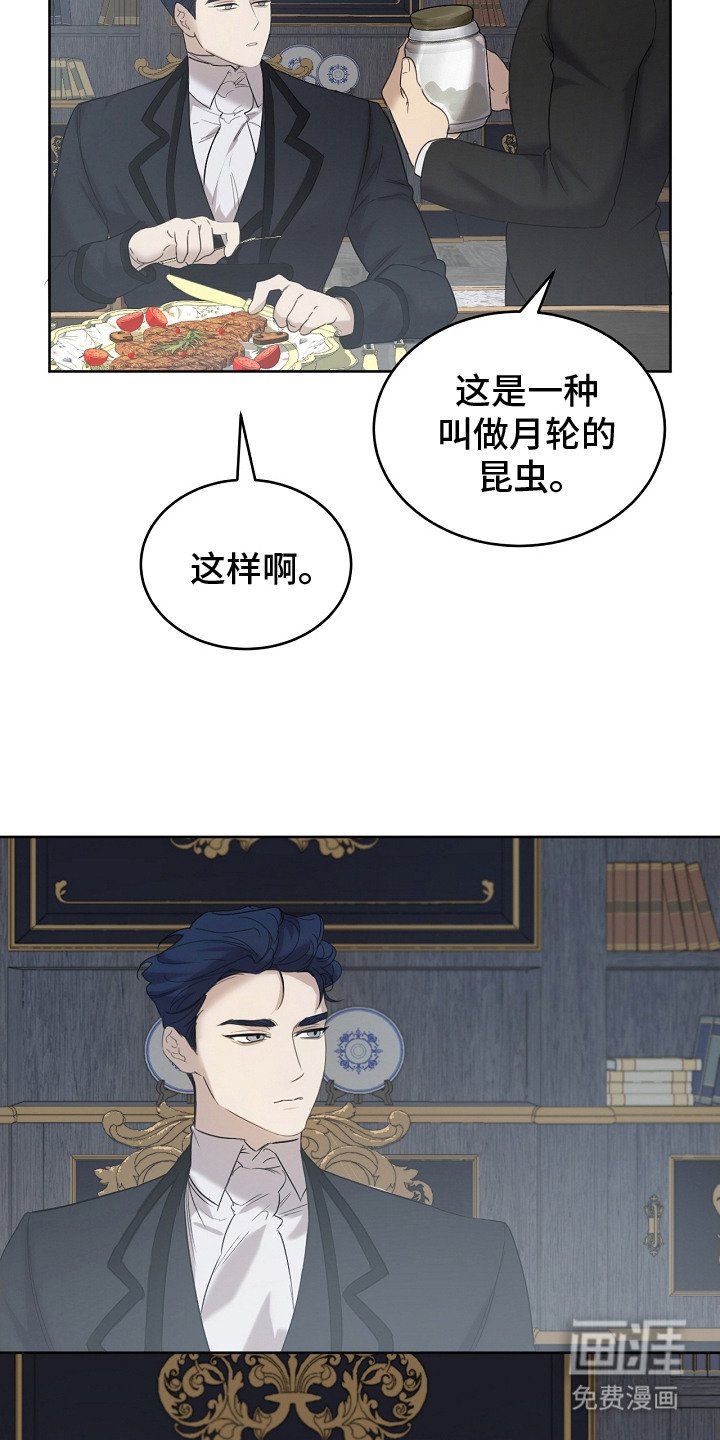 第11章：食物