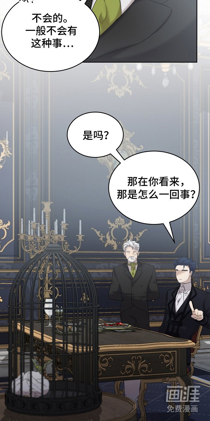 第11章：食物