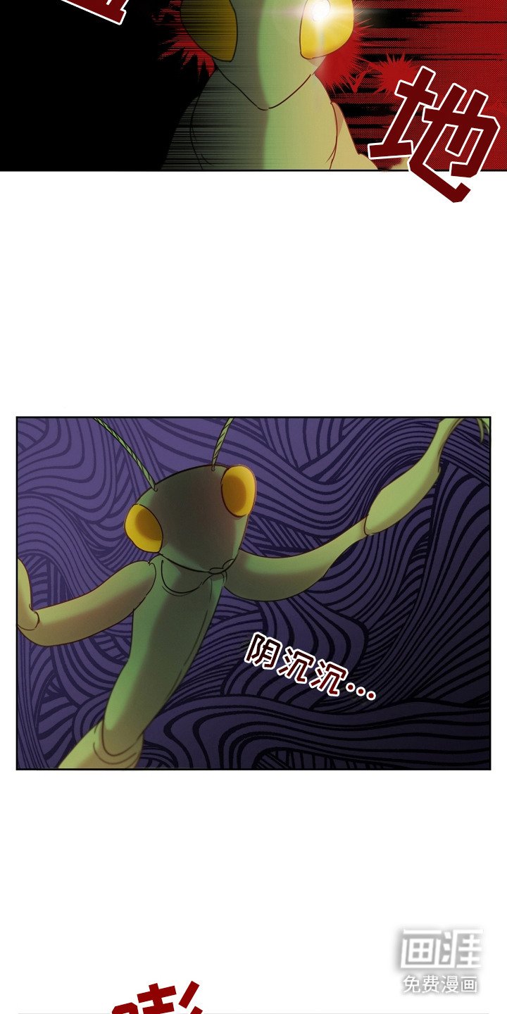 第11章：食物