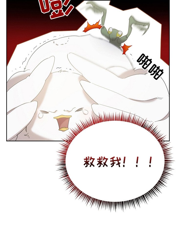 第11章：食物