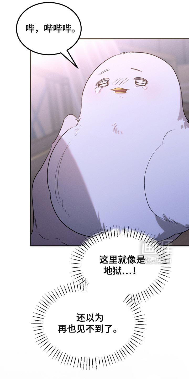 第111章：【第二季】我就让你们吃点苦