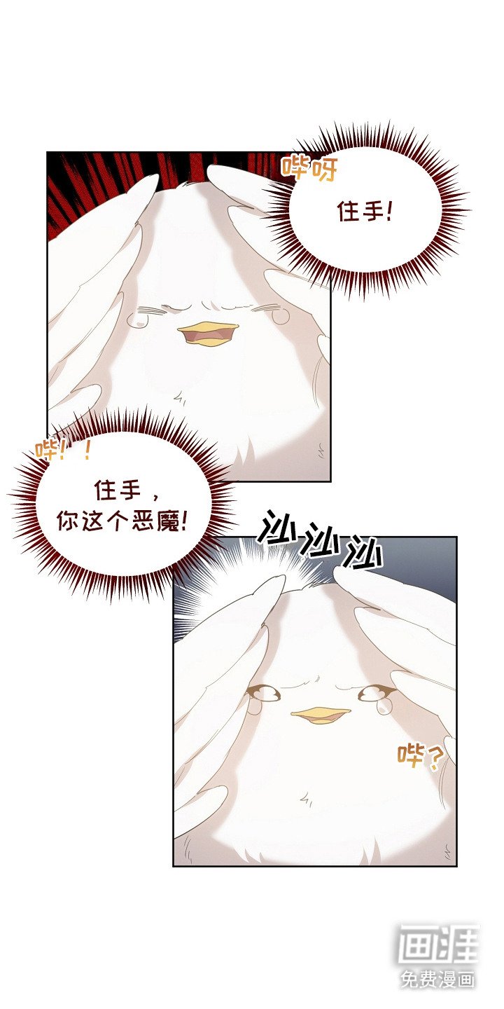 第12章：一把抓住