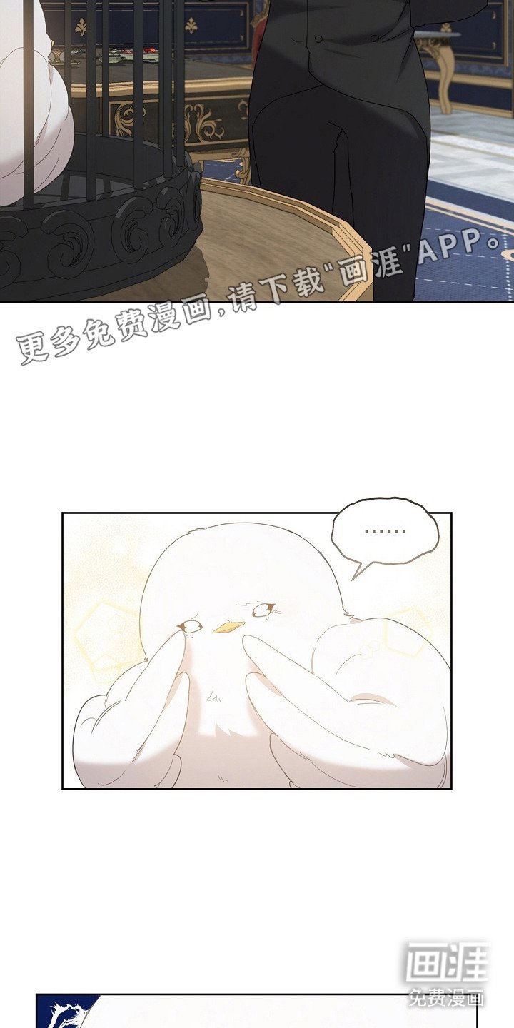 第12章：一把抓住