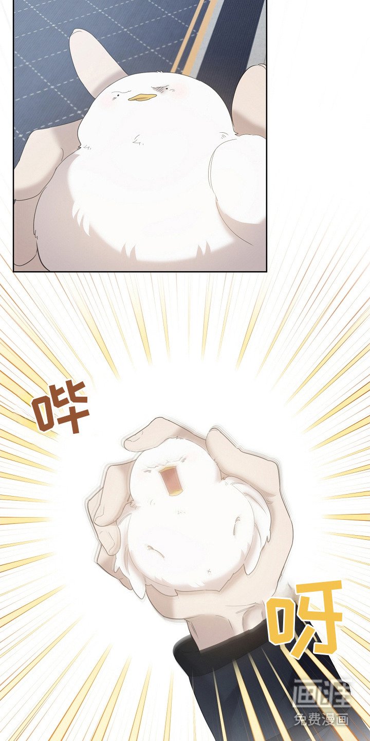 第12章：一把抓住